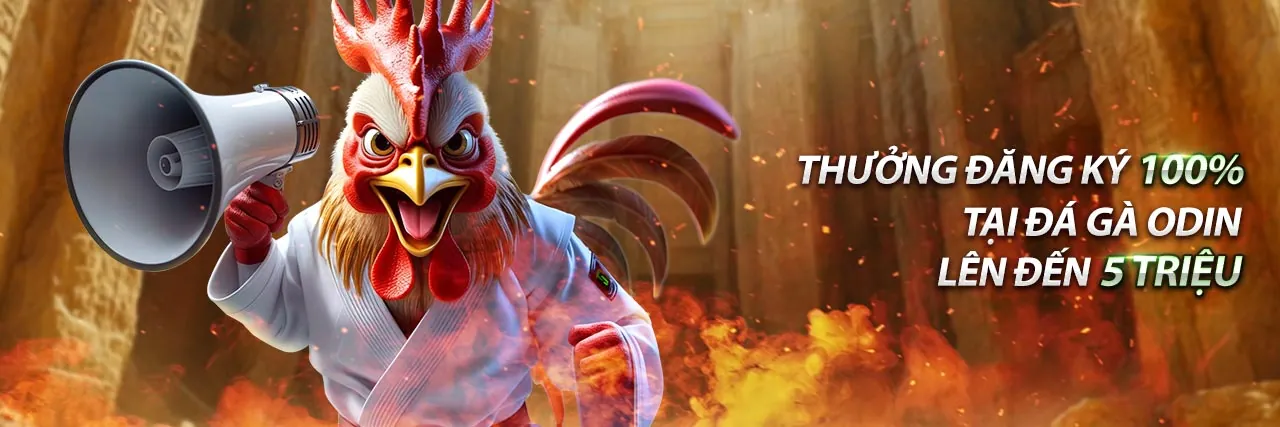 Các chương trình khuyến mãi hấp dẫn tại 5com link mới